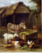 unknow artist Cocks and Sheep 129 china oil painting reproduction